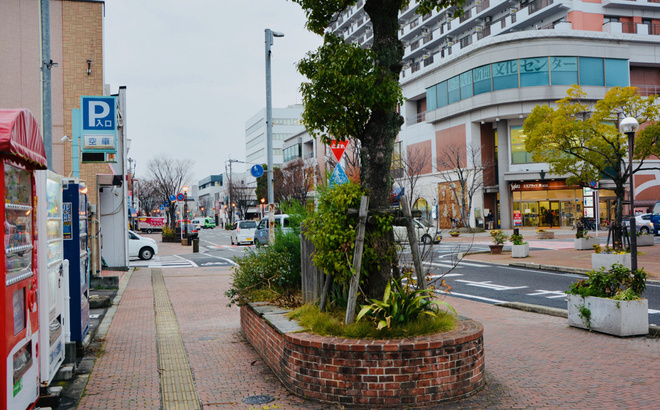 dsc_7545.jpg